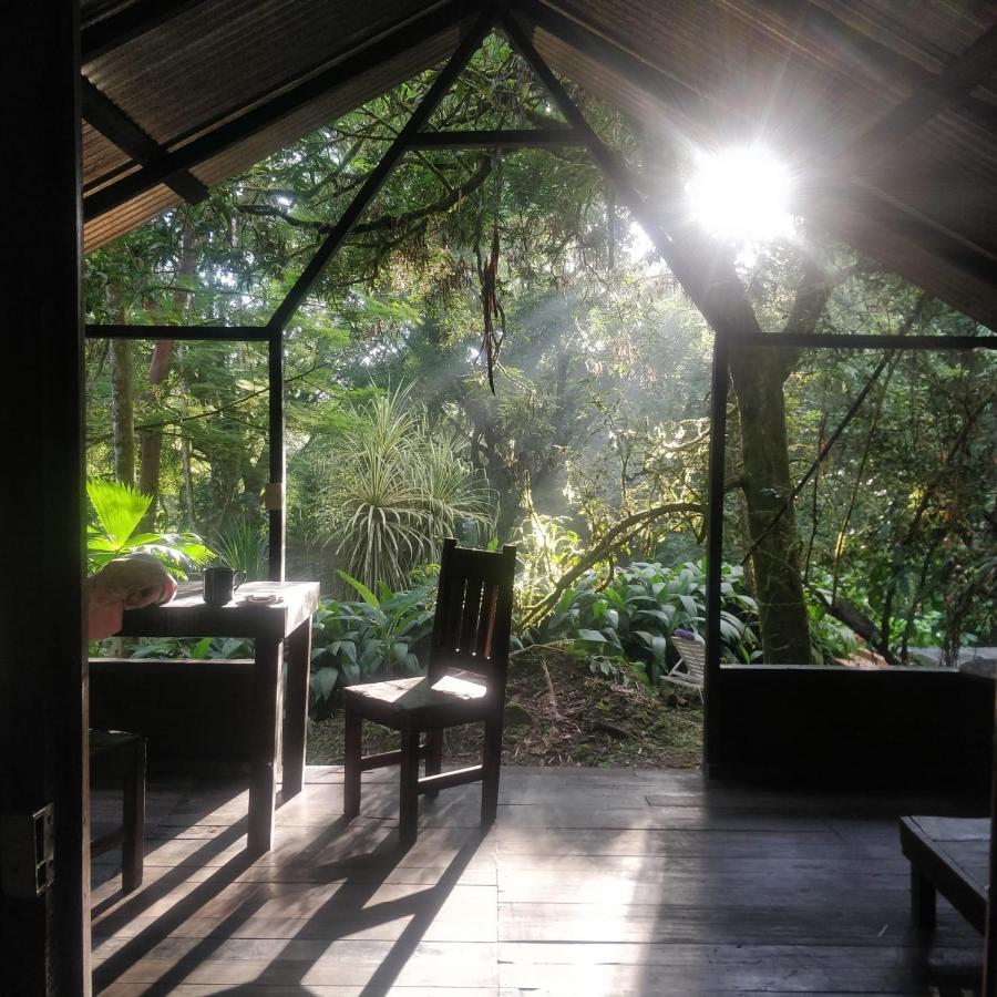 Los Mineros Guesthouse Dos Brazos 외부 사진